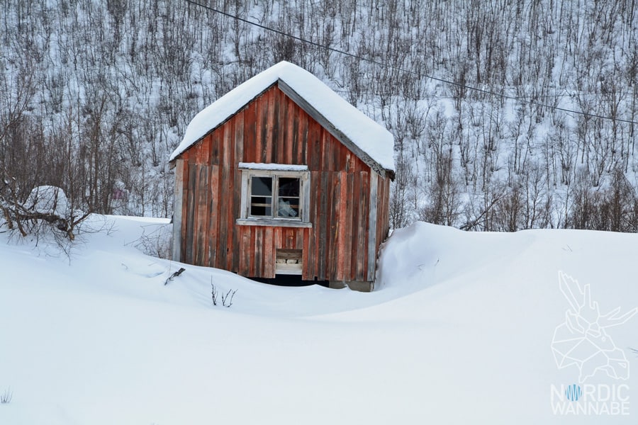 Alta, Norwegen, Nordnorwegen, Masi, Samidaorf, Rentiere, Nordlichter, Schnee, Blog, Skandinavien,