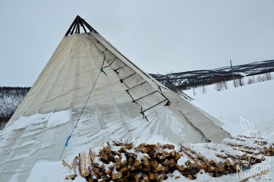 Alta, Norwegen, Nordnorwegen, Masi, Samidaorf, Rentiere, Nordlichter, Schnee, Blog, Skandinavien,