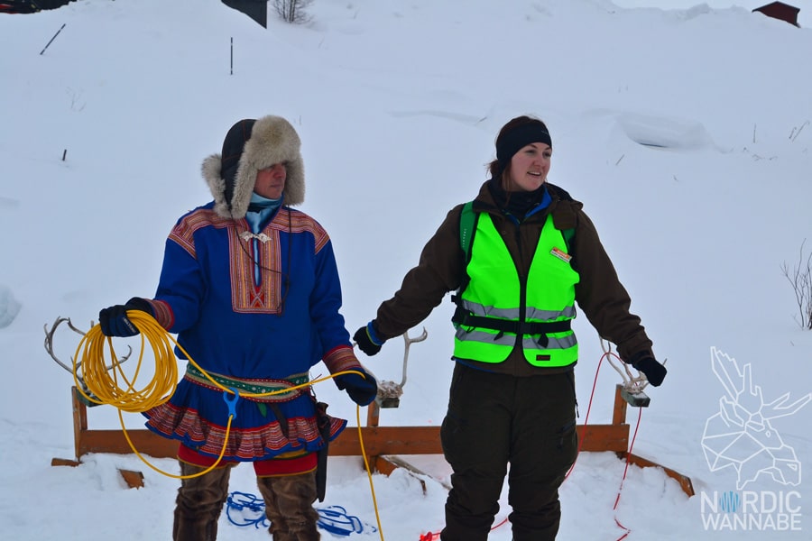 Alta, Norwegen, Nordnorwegen, Masi, Samidaorf, Rentiere, Nordlichter, Schnee, Blog, Skandinavien,