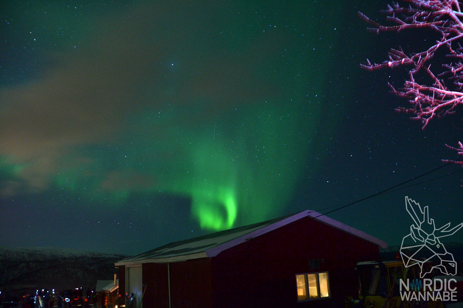 Alta, Aurora Borealis, Erfahrungen, Nordlichter, Polarlichter, Nordlichtsafari, Peskatun, AIDA, Nordnorwegen, Norwegen, Skandinavien, Blog