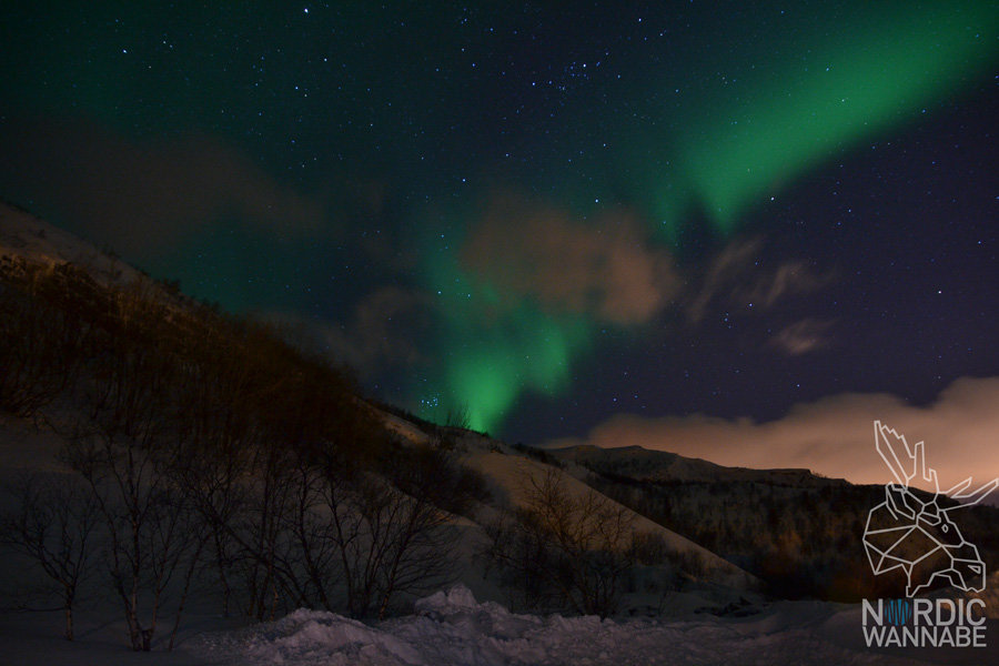 Alta, Aurora Borealis, Erfahrungen, Nordlichter, Polarlichter, Nordlichtsafari, Peskatun, AIDA, Nordnorwegen, Norwegen, Skandinavien, Blog