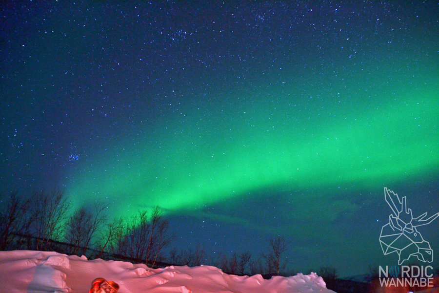 Alta, Aurora Borealis, Erfahrungen, Nordlichter, Polarlichter, Nordlichtsafari, Peskatun, AIDA, Nordnorwegen, Norwegen, Skandinavien, Blog