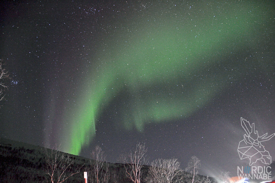 Alta, Aurora Borealis, Erfahrungen, Nordlichter, Polarlichter, Nordlichtsafari, Peskatun, AIDA, Nordnorwegen, Norwegen, Skandinavien, Blog