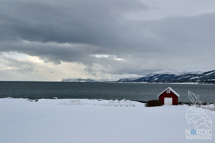 Lofoten, Svolvær, Henningsvær, Vesterålen, Sortland, Norwegen, Blog, Skandinavien, Mietwagen, AIDAcara, Winter, Waffeln, Hotell,