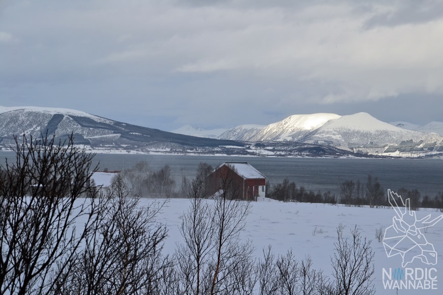Lofoten, Svolvær, Henningsvær, Vesterålen, Sortland, Norwegen, Blog, Skandinavien, Mietwagen, AIDAcara, Winter, Waffeln, Hotell,