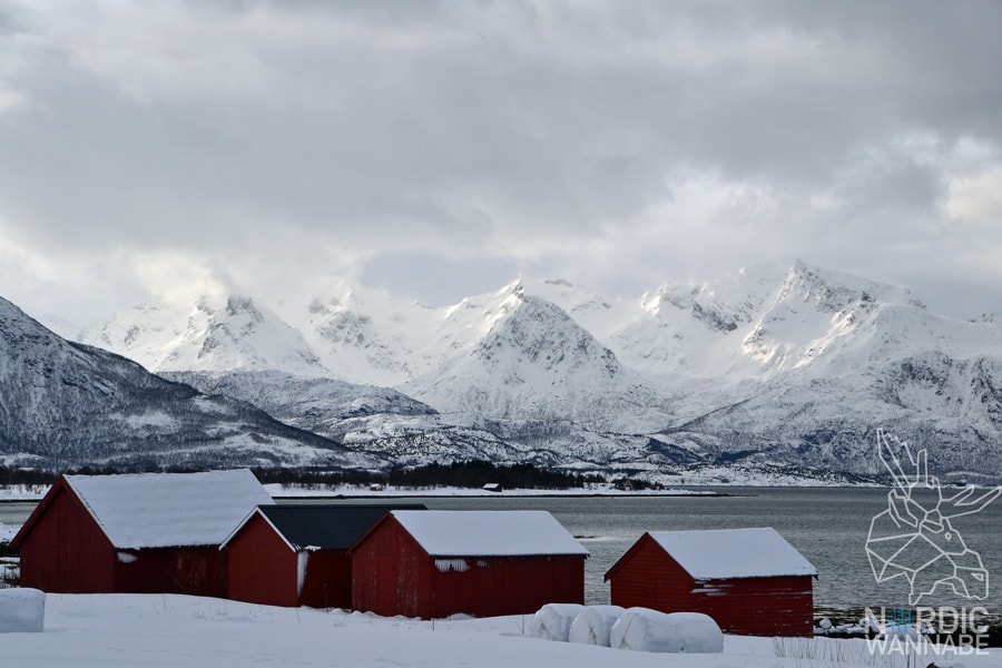 Lofoten, Svolvær, Henningsvær, Vesterålen, Sortland, Norwegen, Blog, Skandinavien, Mietwagen, AIDAcara, Winter, Waffeln, Hotell,