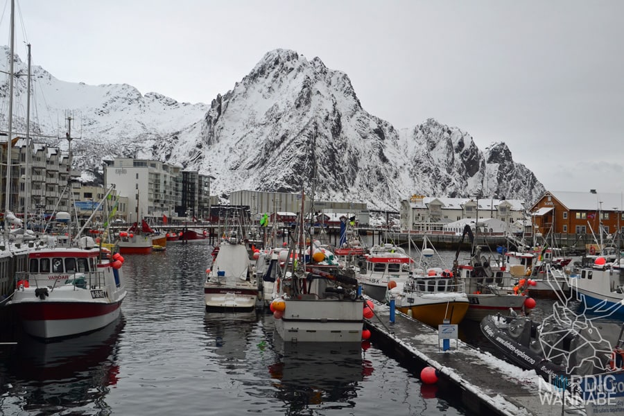 Lofoten, Svolvær, Henningsvær, Vesterålen, Sortland, Norwegen, Blog, Skandinavien, Mietwagen, AIDAcara, Winter, Waffeln, Hotell,