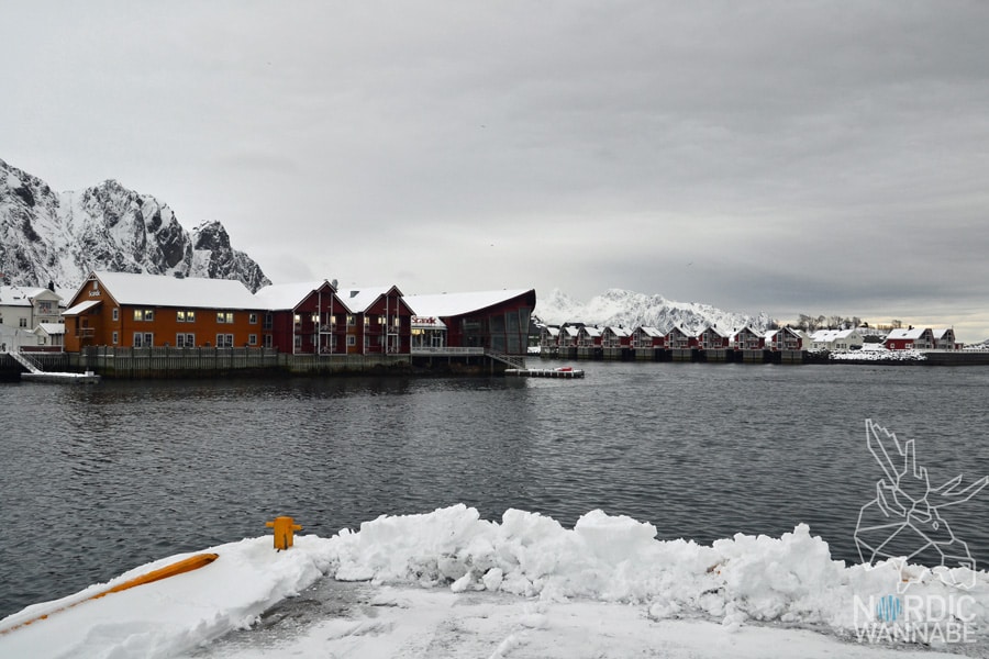 Lofoten, Svolvær, Henningsvær, Vesterålen, Sortland, Norwegen, Blog, Skandinavien, Mietwagen, AIDAcara, Winter, Waffeln, Hotell,