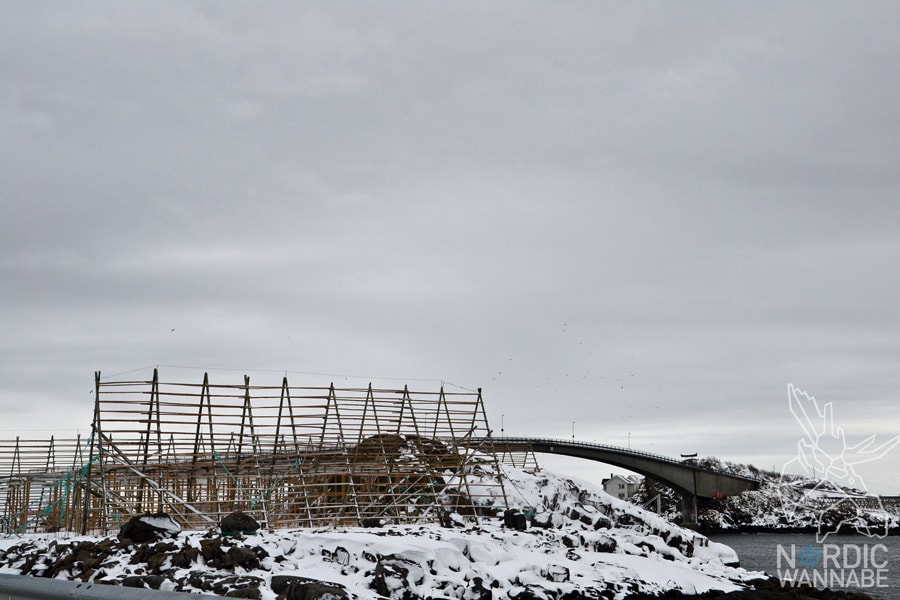 Lofoten, Svolvær, Henningsvær, Vesterålen, Sortland, Norwegen, Blog, Skandinavien, Mietwagen, AIDAcara, Winter, Waffeln, Hotell,