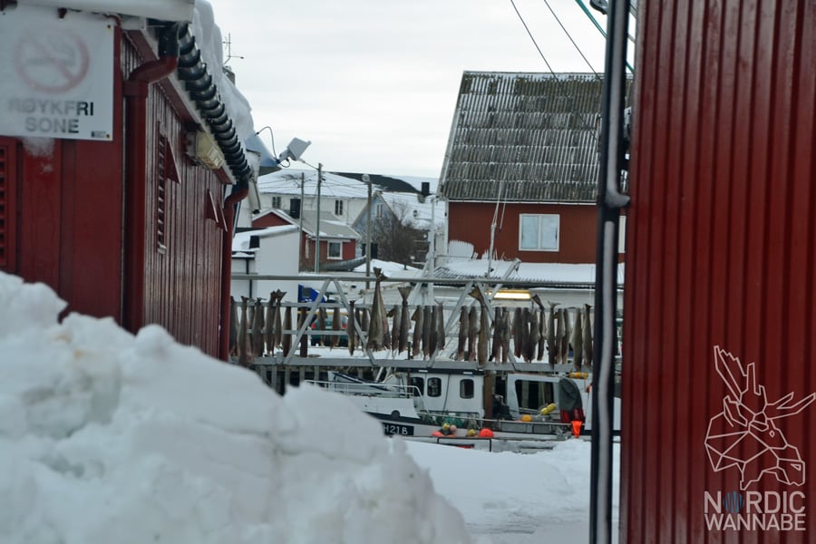 Lofoten, Svolvær, Henningsvær, Vesterålen, Sortland, Norwegen, Blog, Skandinavien, Mietwagen, AIDAcara, Winter, Waffeln, Hotell,