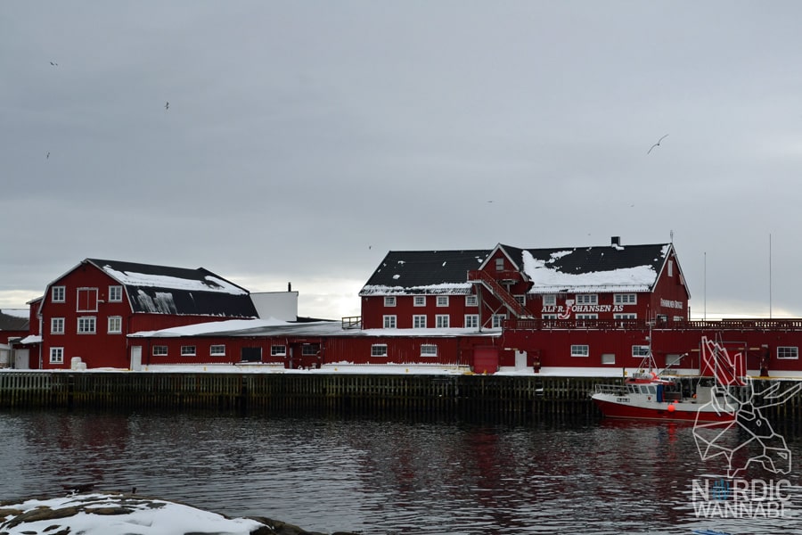 Lofoten, Svolvær, Henningsvær, Vesterålen, Sortland, Norwegen, Blog, Skandinavien, Mietwagen, AIDAcara, Winter, Waffeln, Hotell,