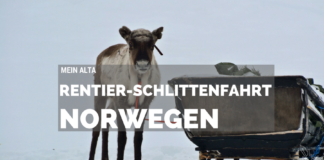 Alta, Norwegen, Nordnorwegen, Masi, Samidaorf, Rentiere, Nordlichter, Schnee, Blog, Skandinavien,