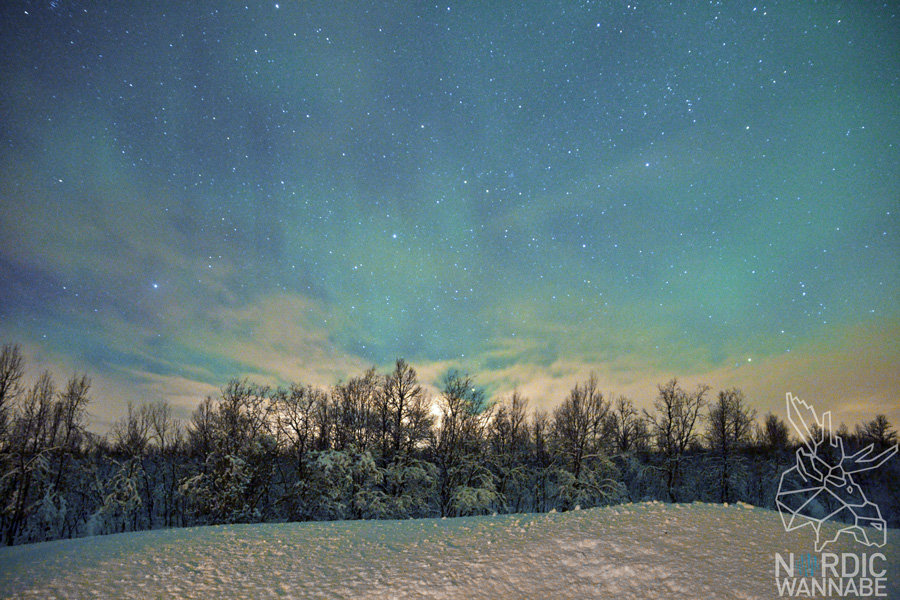 Polarlichter, Nordlichter, Aurora Borealis, Tromsø Safari, Nordlicht Safari, ADIA Selection, AIDA Cars, Kreuzfahrt, Norwegen, Nordnorwegen, Blog, Skandinavien