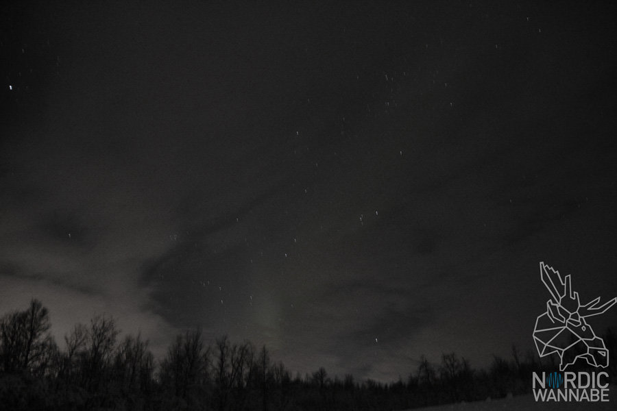 Polarlichter, Nordlichter, Aurora Borealis, Tromsø Safari, Nordlicht Safari, ADIA Selection, AIDA Cars, Kreuzfahrt, Norwegen, Nordnorwegen, Blog, Skandinavien