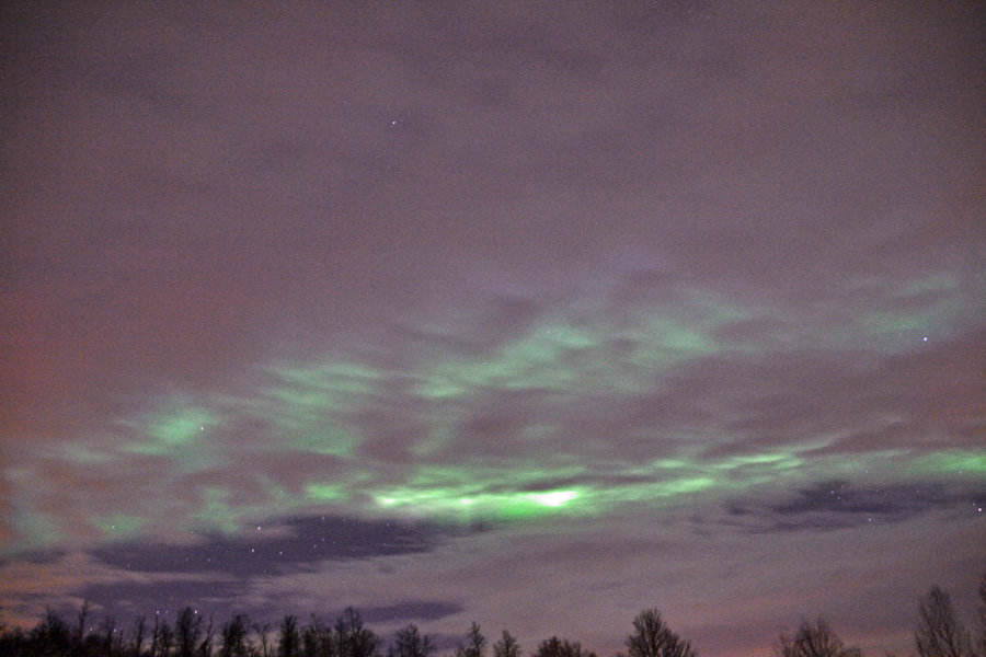 Polarlichter, Nordlichter, Aurora Borealis, Tromsø Safari, Nordlicht Safari, ADIA Selection, AIDA Cars, Kreuzfahrt, Norwegen, Nordnorwegen, Blog, Skandinavien