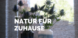 Hygge Natur, Badeöl, Badekristalle, Skandinavien Blog, Natur, Wald, Bäume, Fichten, Kiefern, Badewanne, Handcreme, Wood, Vasen, Flaschen, DIY, Das geheime Leben der Bäume, Skandinavien, Dänemark, Natur nach Hause holen