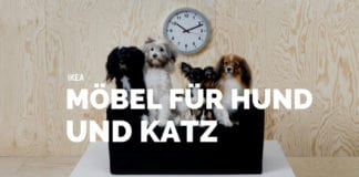 IKEA LURVIG - Möbel für Hunde und Katzen , Hundesofa, Katzensofa, Kratzbaum, Napf, Hundeleine, Hundedecke, Hundekissen, Transporttasche, Katze, Hunde, Höhle, Hundemöbel, Schweden, Klippan, Hundebett, Katzenspielzeug, Hundespielzeug, schwedisch, Blog, Körbchen