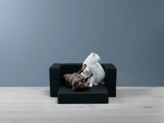 IKEA LURVIG - M&ouml;bel f&uuml;r Hunde und Katzen , Hundesofa, Katzensofa, Kratzbaum, Napf, Hundeleine, Hundedecke, Hundekissen, Transporttasche, Katze, Hunde, H&ouml;hle, Hundem&ouml;bel, Schweden, Klippan, Hundebett, Katzenspielzeug, Hundespielzeug, schwedisch, Blog, K&ouml;rbchen