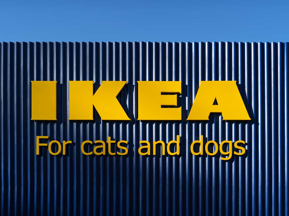 IKEA LURVIG - Möbel für Hunde und Katzen , Hundesofa, Katzensofa, Kratzbaum, Napf, Hundeleine, Hundedecke, Hundekissen, Transporttasche, Katze, Hunde, Höhle, Hundemöbel, Schweden, Klippan, Hundebett, Katzenspielzeug, Hundespielzeug, schwedisch, Blog, Körbchen 