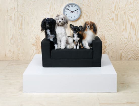 IKEA LURVIG - M&ouml;bel f&uuml;r Hunde und Katzen , Hundesofa, Katzensofa, Kratzbaum, Napf, Hundeleine, Hundedecke, Hundekissen, Transporttasche, Katze, Hunde, H&ouml;hle, Hundem&ouml;bel, Schweden, Klippan, Hundebett, Katzenspielzeug, Hundespielzeug, schwedisch, Blog, K&ouml;rbchen