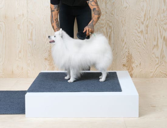 IKEA LURVIG - M&ouml;bel f&uuml;r Hunde und Katzen , Hundesofa, Katzensofa, Kratzbaum, Napf, Hundeleine, Hundedecke, Hundekissen, Transporttasche, Katze, Hunde, H&ouml;hle, Hundem&ouml;bel, Schweden, Klippan, Hundebett, Katzenspielzeug, Hundespielzeug, schwedisch, Blog, K&ouml;rbchen