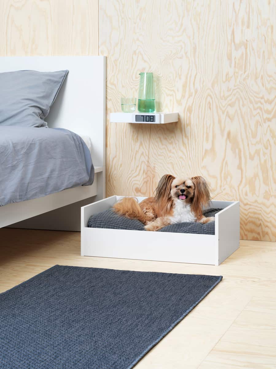 IKEA LURVIG - Möbel für Hunde und Katzen , Hundesofa, Katzensofa, Kratzbaum, Napf, Hundeleine, Hundedecke, Hundekissen, Transporttasche, Katze, Hunde, Höhle, Hundemöbel, Schweden, Klippan, Hundebett, Katzenspielzeug, Hundespielzeug, schwedisch, Blog, Körbchen 