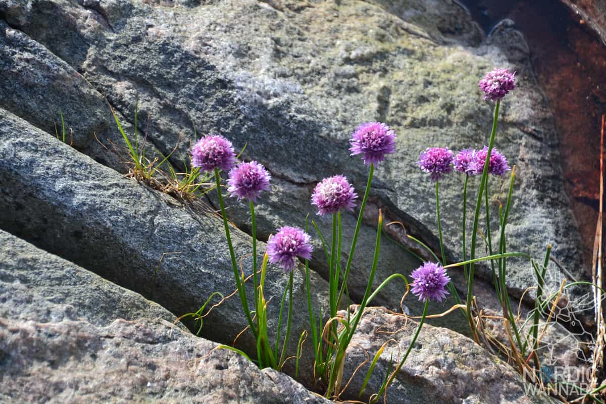 Karlskrona, Scandic Hotel, Schwedenblog, Schweden Blog, Südschweden ,StenaLine, Marine Museum, Nils Holgersson, VisitKarlskrona, Schärengarten, Uboot