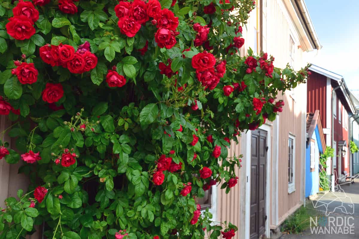 Karlskrona, Scandic Hotel, Schwedenblog, Schweden Blog, Südschweden ,StenaLine, Marine Museum, Nils Holgersson, VisitKarlskrona, Schärengarten, Uboot