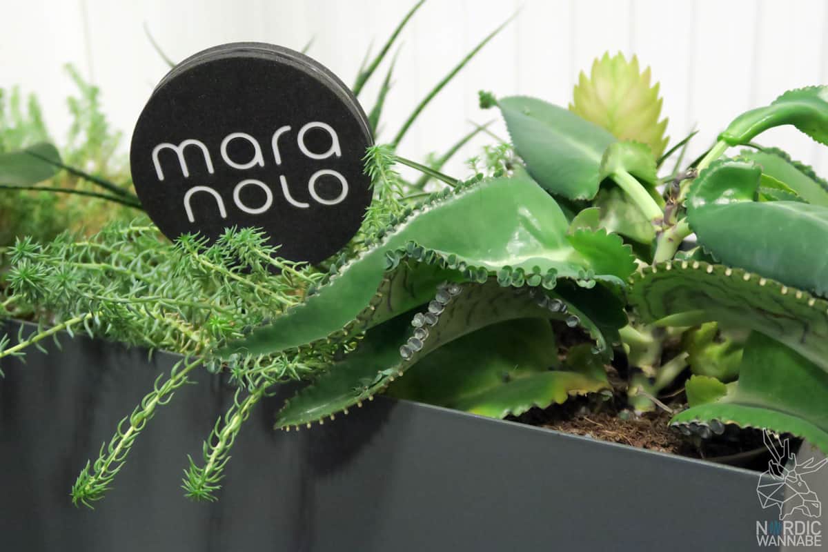 Skandinavische Geschäfte in Hannover, Maranolo, Dänisch, Design, Hannover Linden, Limmerstraße