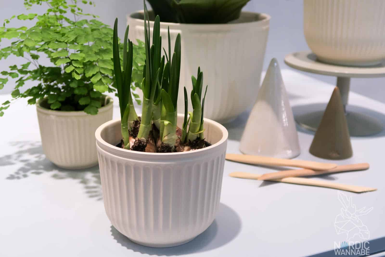 Skandinavisches Design, Dänisches Design, Dänemark Blog, Tasse, Hygge, Hammershøi, Ambiente, Frankfurt, Skandinavisch Wohnen