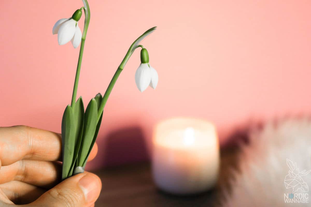 Kerzen, Decken, Playlist, Serien, Waffeln, Hygge, Was ist Hygge, hyggelig, Valentinstag, DIY, Rezepte, Dänemark, Skandinavien, Blog, Definition Hygge