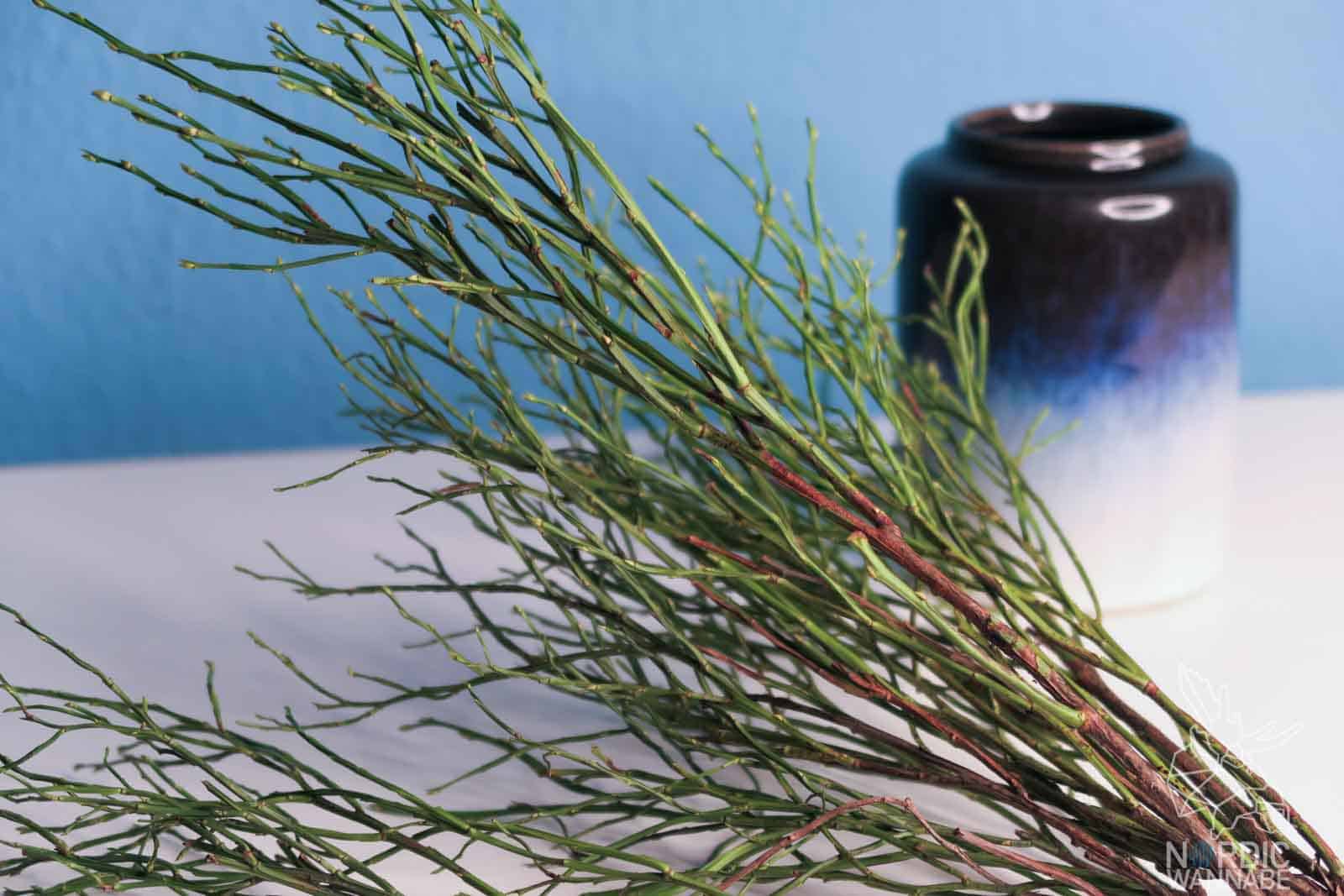 Hygge & Ostern, Ostern, Hygge, Blaubeerzweige, Dekoration, Skandinavien Blog, Scandi Style, Zweige, Osterfest, Blaubeeren, Rezepte