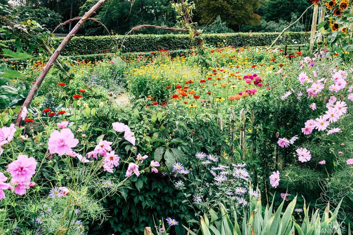 Malmö, Schweden, Sehenswürdigkeiten, Shopping, Schwedisch, Schweden Blog, Malmö Restaurants, Malmö Hotel, Tipps in Malmö, Fika, Turning Torso