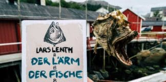 Krimi aus Norwegen über Lärm, Lachse und Norwegen? Richtig guter Roman.
