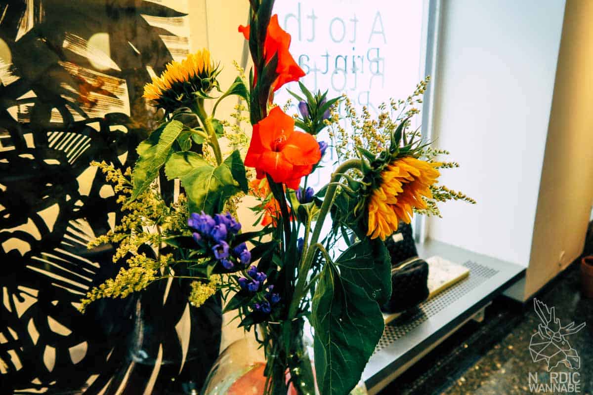 Finnisches Design, Helsinki Reiseführer, Sehenswürdigkeiten in Helsinki, Erfahrungen mit Finnair, Helsinki, Finnland-Blog, Finnland, Finnair, finnische Hauptstadt, Sauna, iittala