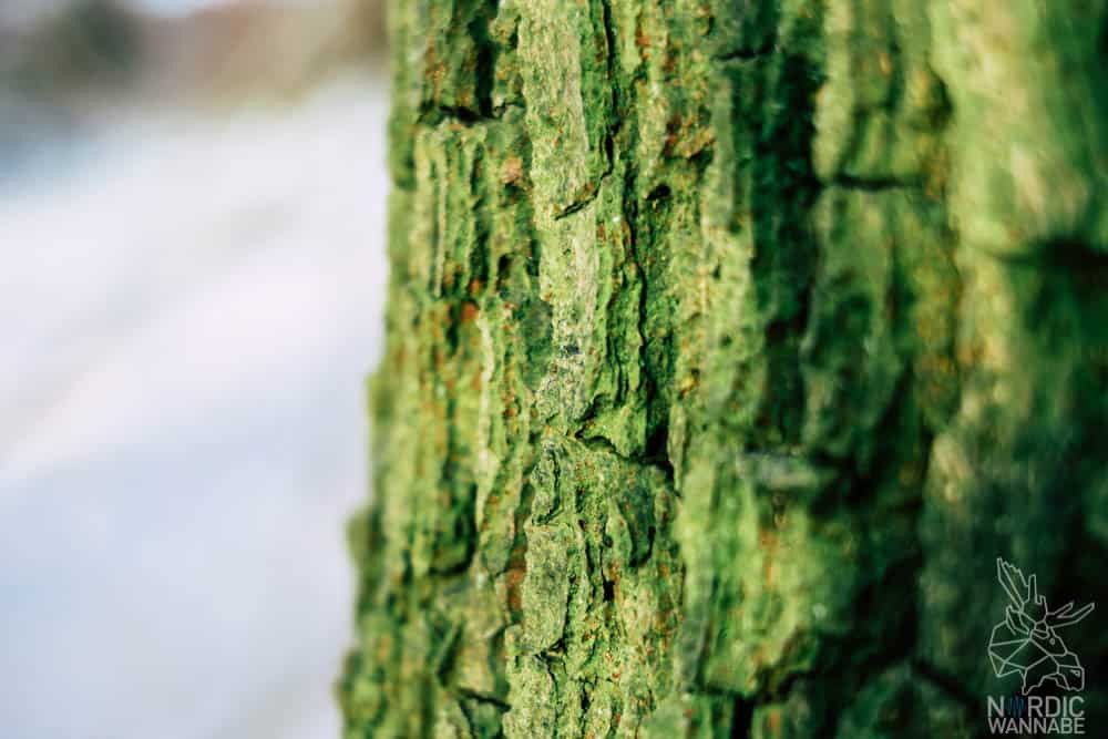 skandinavische Beauty Produkte Skandinavien Marken Naturkosmetik