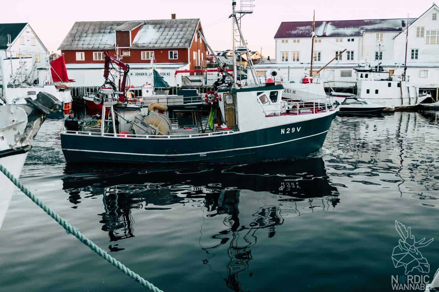 Lofoten, Skrei, Norwegen