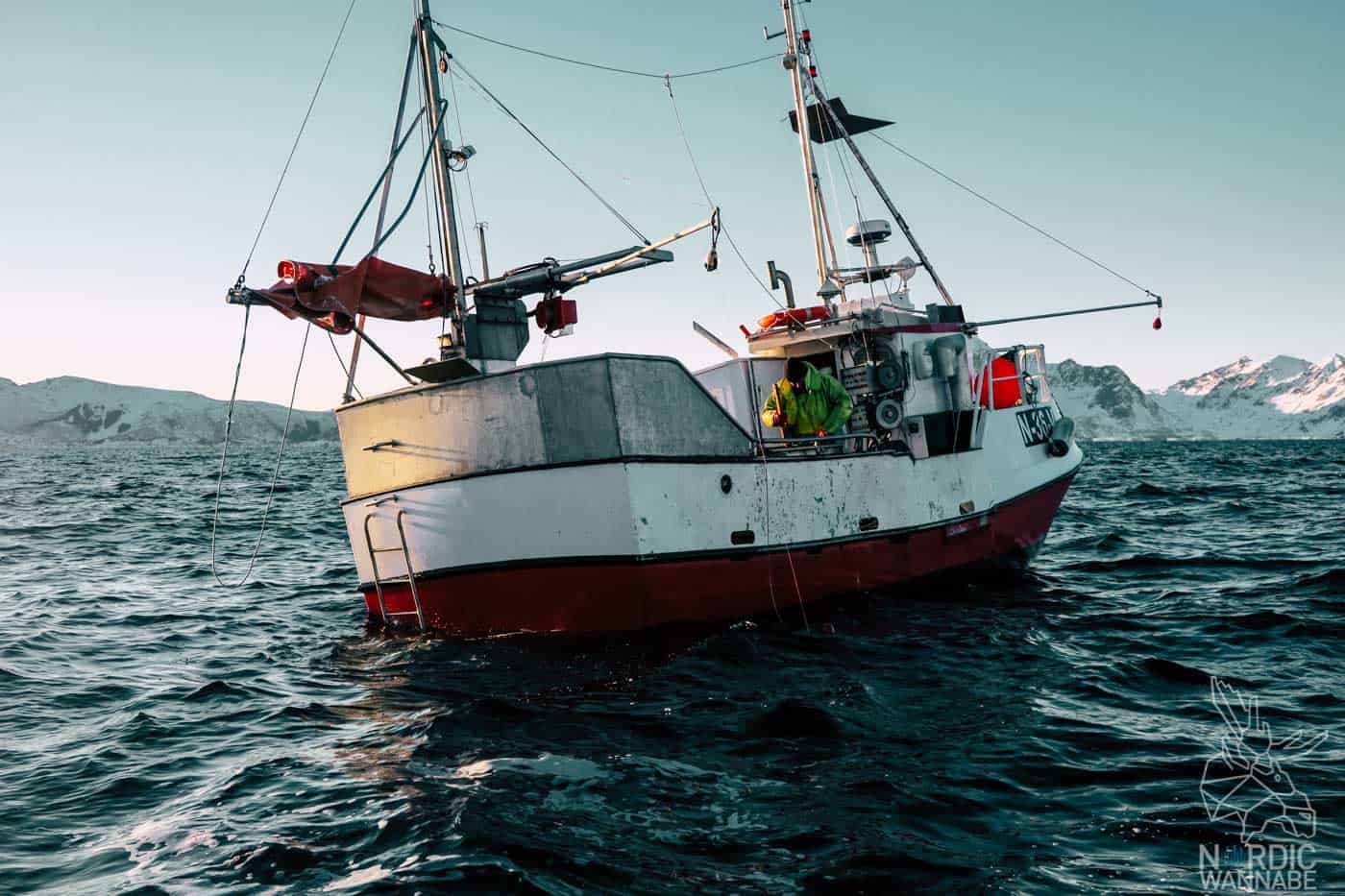 Lofoten, Skrei, Norwegen