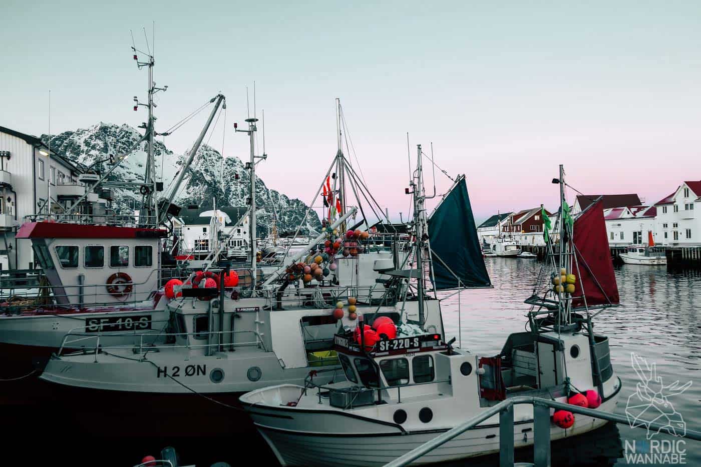 Lofoten, Skrei, Norwegen