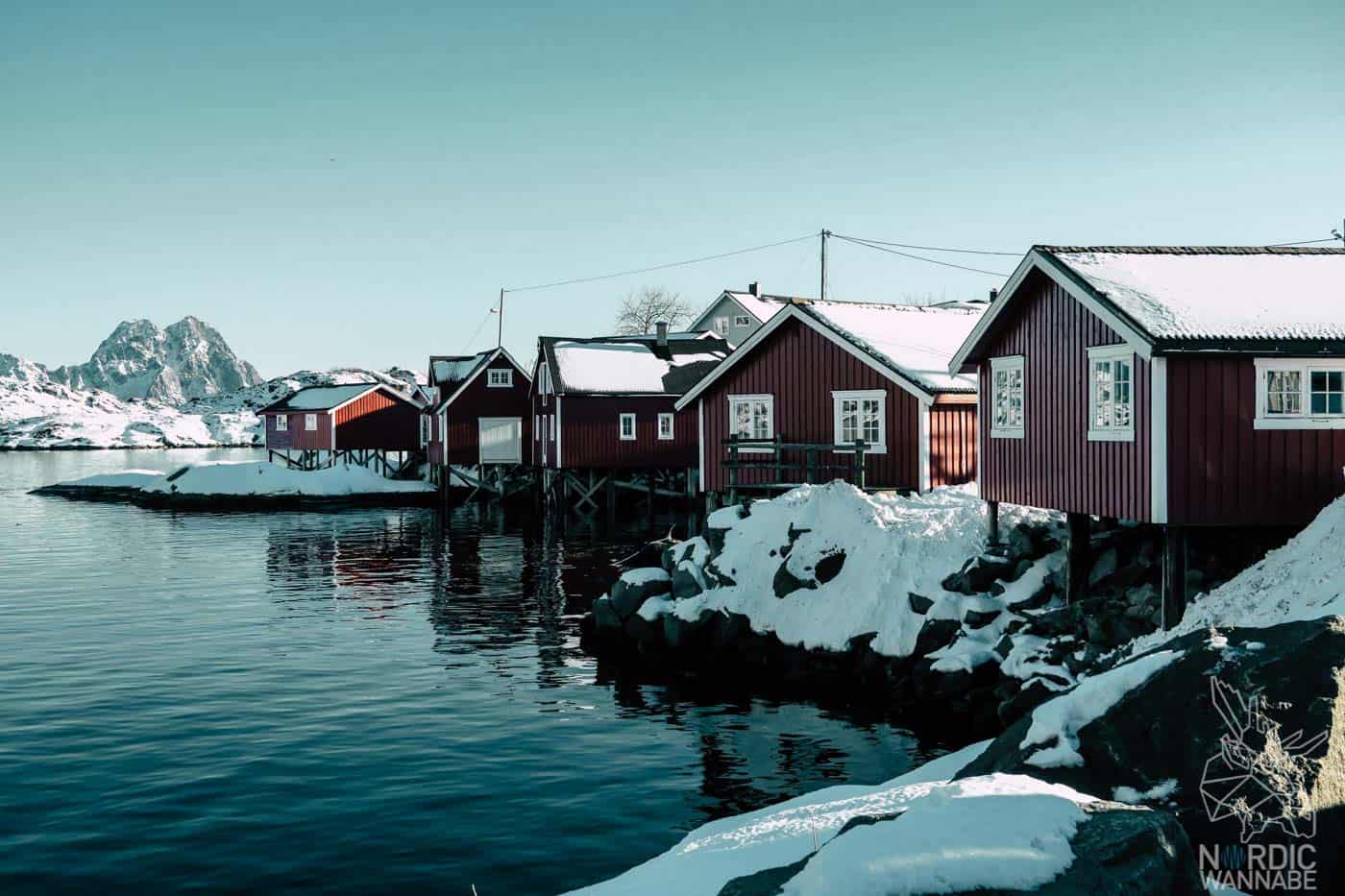 Lofoten, Skrei, Norwegen