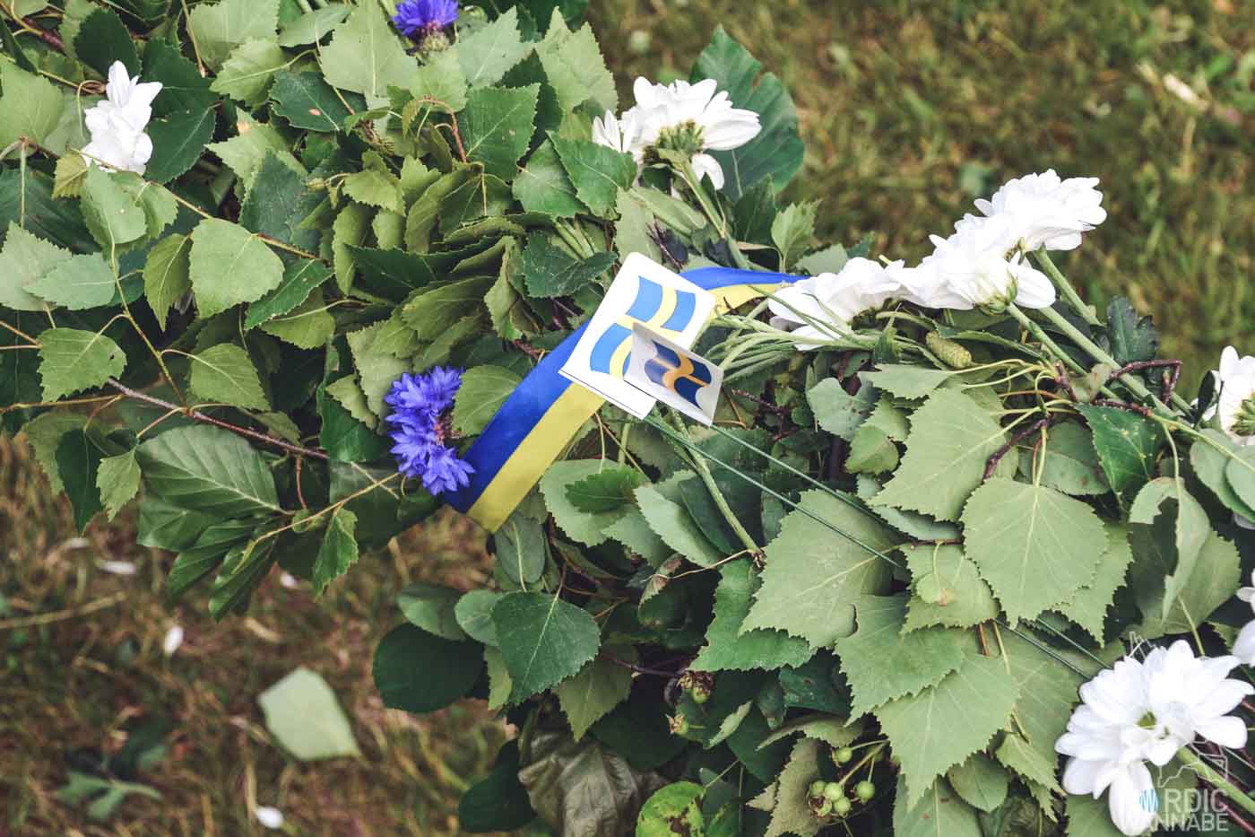 Mittsommer 2020, Mittsommerfest, Sommersonnenwende, Mittsommer in Schweden, Mittsommer-Party feiern, Midsommar, Party , Rezept, Schweden