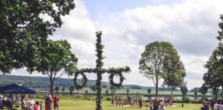 Mittsommer 2020, Mittsommerfest, Sommersonnenwende, Mittsommer in Schweden, Mittsommer-Party feiern, Midsommar, Party , Rezept, Schweden