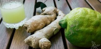 Ingwer Shots selber machen, Ingwer Shot, Zitrone, Rezept, Stoffwechsel