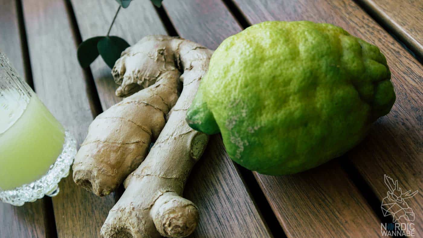 Ingwer Shots selber machen, Ingwer Shot, Zitrone, Rezept, Stoffwechsel