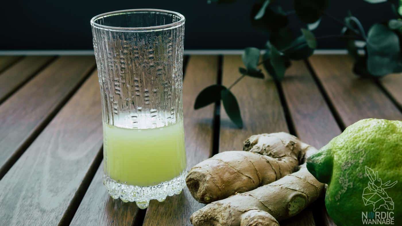 Ingwer Shots selber machen, Ingwer Shot, Zitrone, Rezept, Stoffwechsel