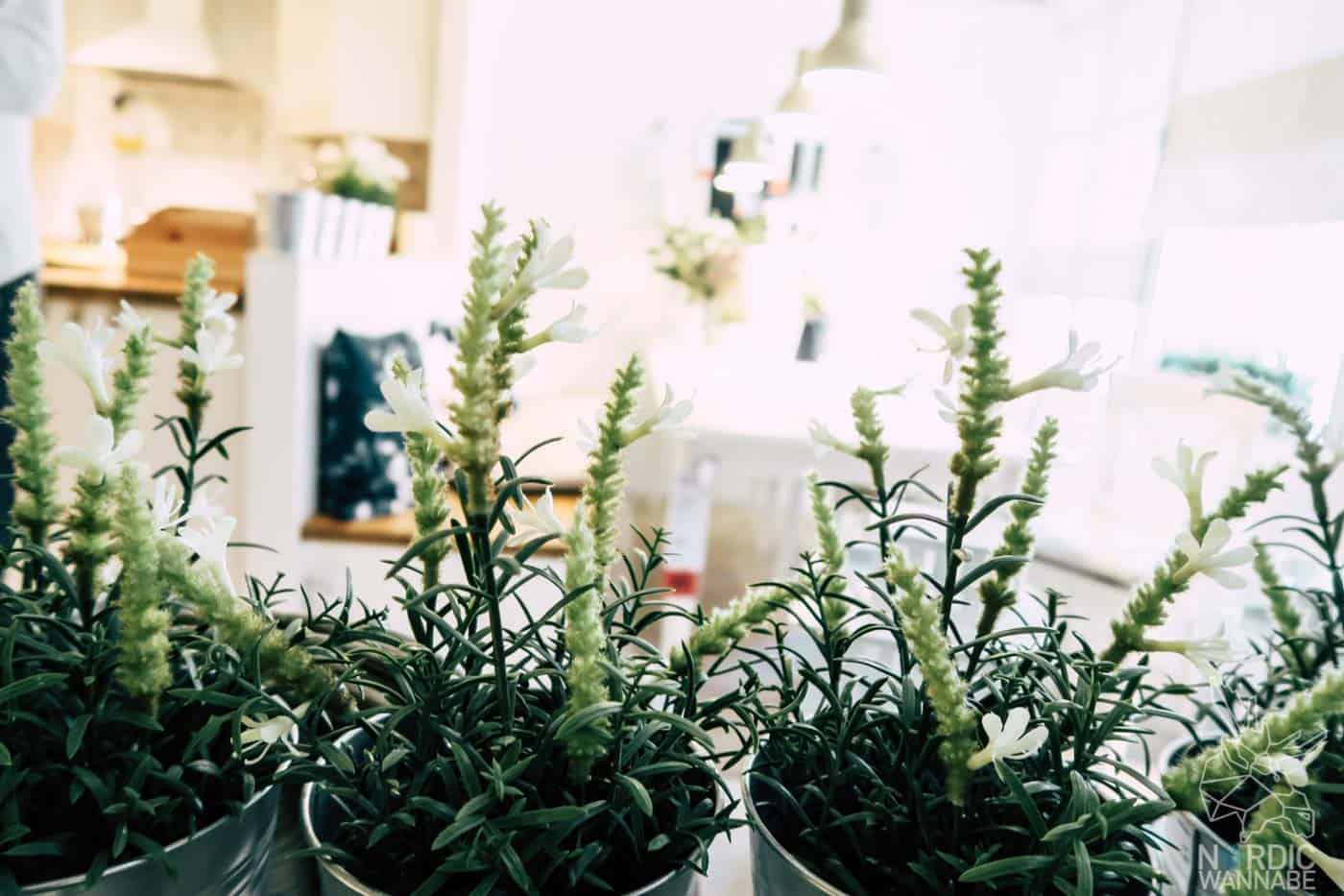 IKEA, IKEA Katalog 2020, IKEA Osnabrück, Hinter den Kulissen, Fika, Schweden, Blog