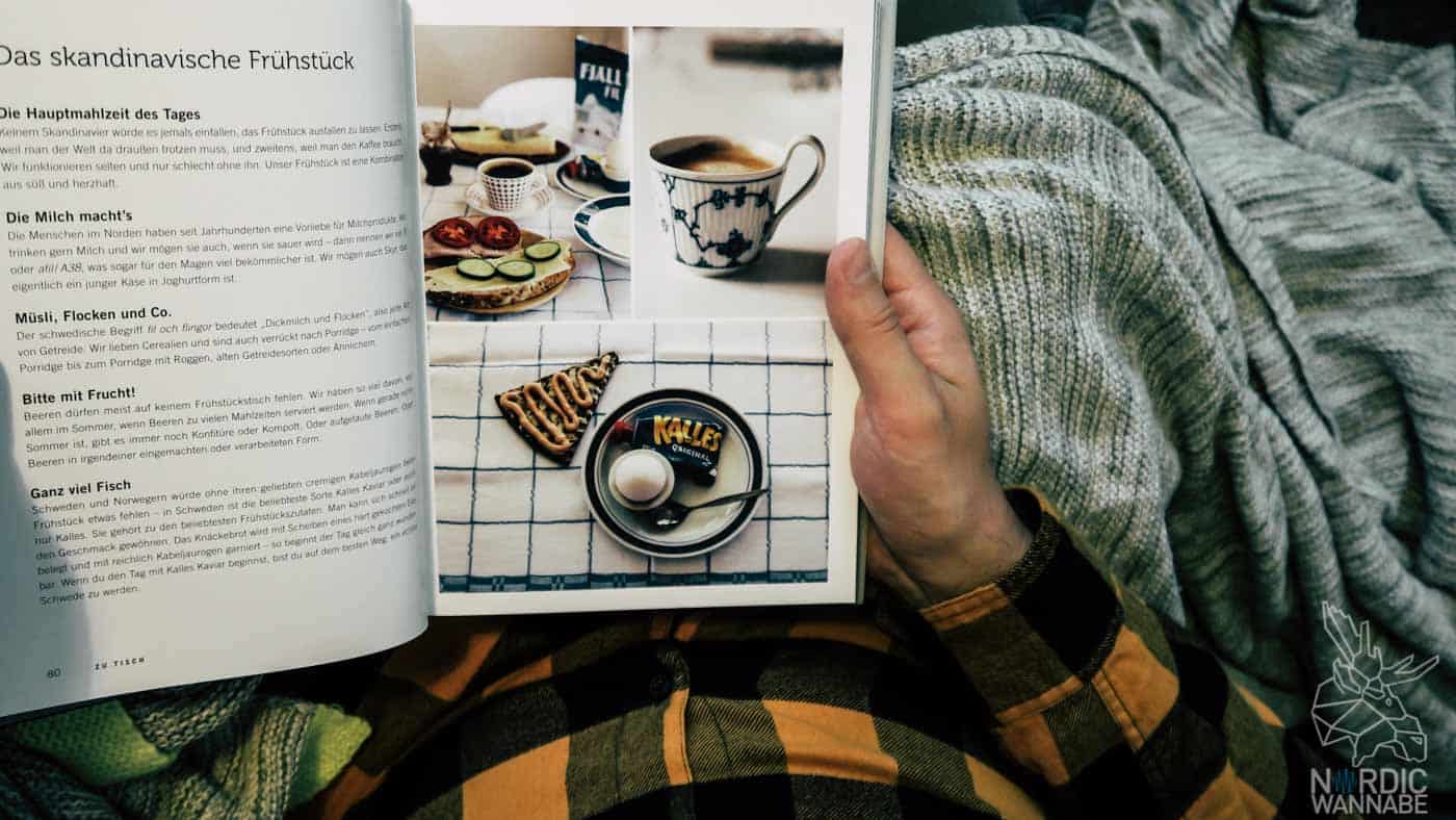 Skandinavien-Buch, Nordeuropa-Buch, Norwegen, Schweden, Dänemark, Nørth