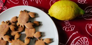 Krebfest in Schweden, Schweden-Blog, Krebs-Rezept