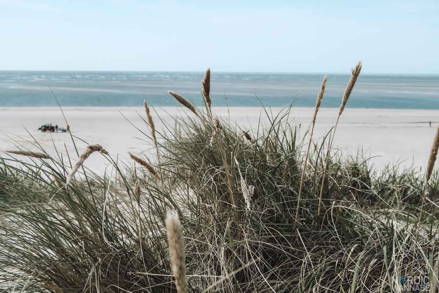Unterwegs in Dänemark: Von Vejers Strand nach Hvide Sande & Ringkøbing
