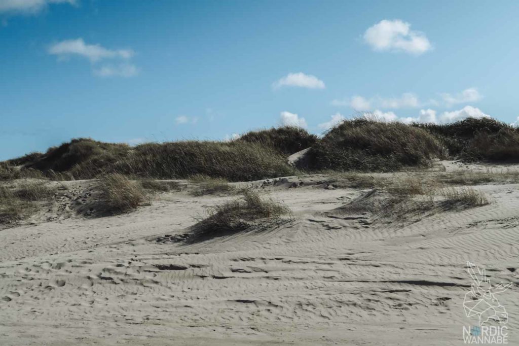 Rømø, Ribe, Vejers Strand Camping, dänische Nordsee Insel, Dänemark, Camping